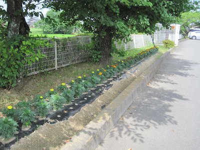 高瀬小学校1